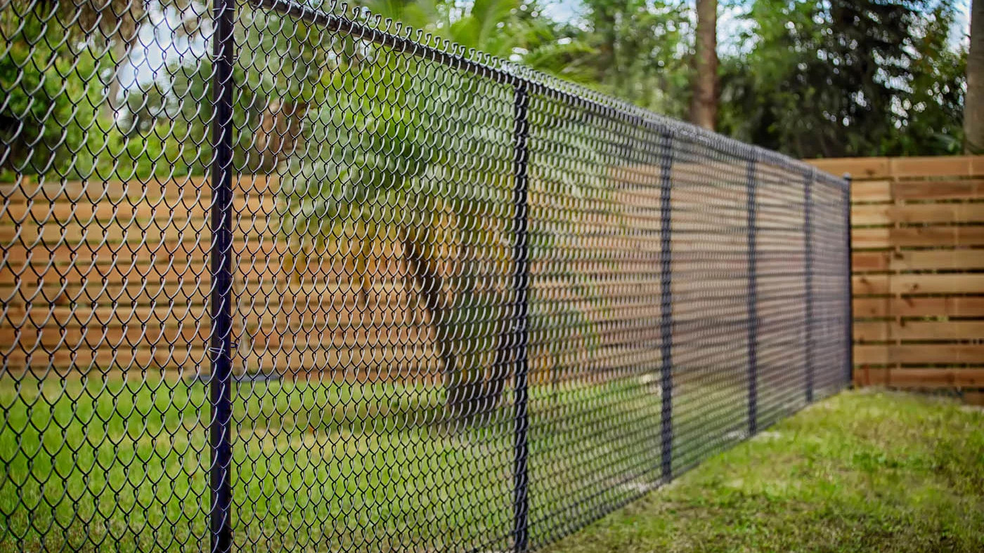 Backyard Security Fencing