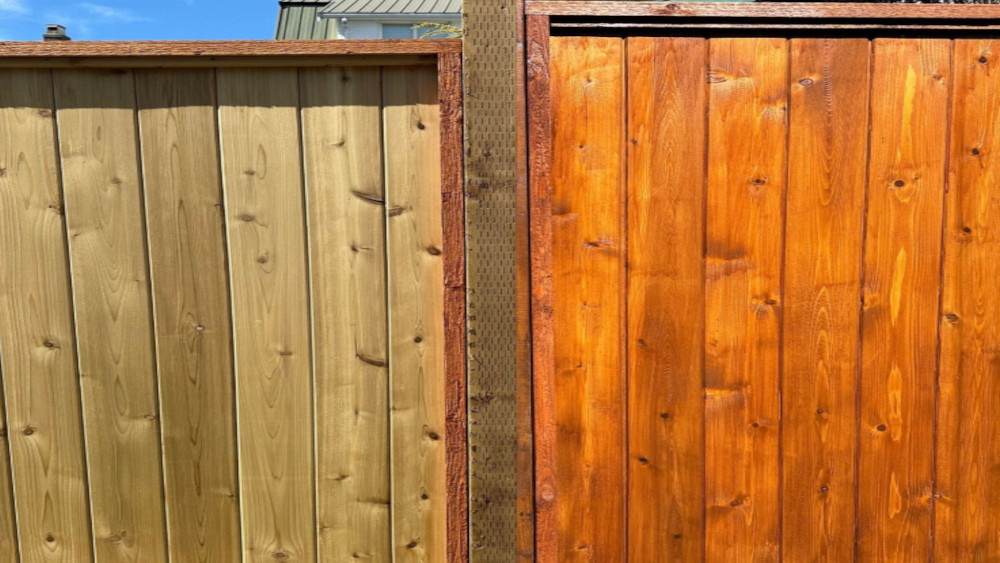Side-by-Side Staining Progress