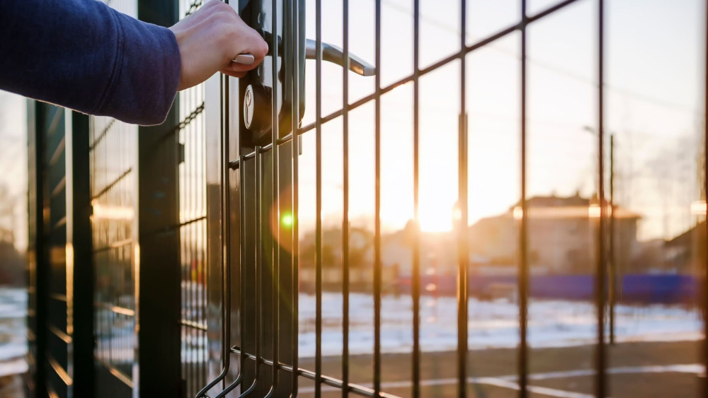 Mesh Fence Gate